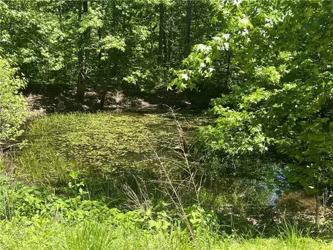 Terrapin Road, Harrison, AR 72601 photo 2