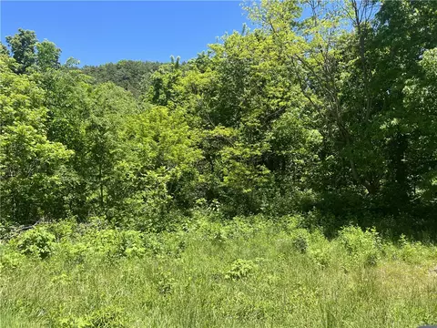 Terrapin Road, Harrison, AR 72601 photo 5