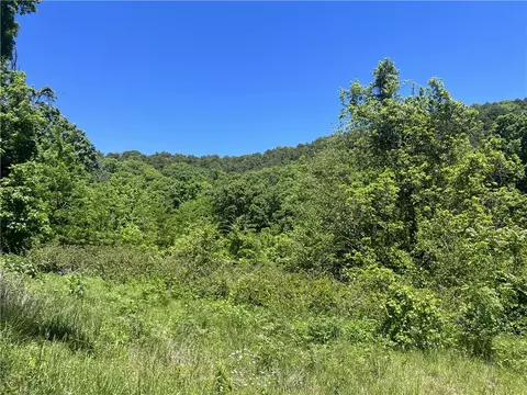 Terrapin Road, Harrison, AR 72601 photo 3