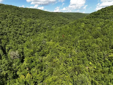 tbd Nc 8872, Deer, AR 72628 photo 15