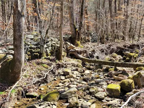 tbd Nc 8872, Deer, AR 72628 photo 24
