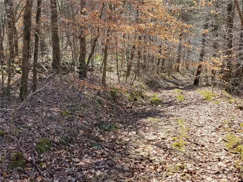 tbd Nc 8872, Deer, AR 72628 photo 27