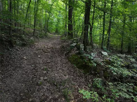 tbd Nc 8872, Deer, AR 72628 photo 19
