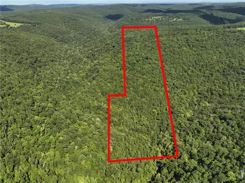 tbd Nc 8872, Deer, AR 72628 photo 32