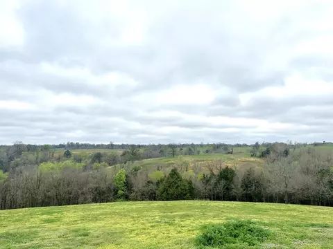 000 Hog Ridge Ct, Noel, MO 64854