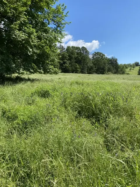 2 Acres On Melton Rd, Briggsville, AR 72828