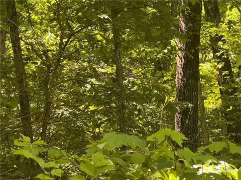 Terrapin Road, Harrison, AR 72601