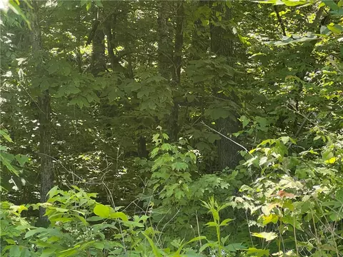 Terrapin Road, Harrison, AR 72601 photo 2