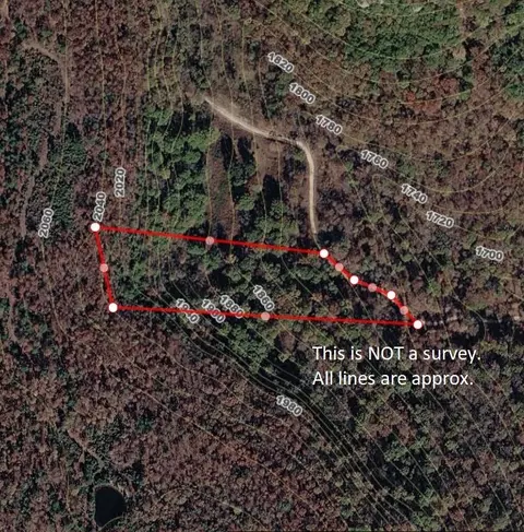 Terrapin Road, Harrison, AR 72601 photo 7