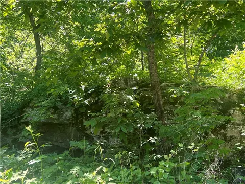 Terrapin Road, Harrison, AR 72601 photo 3