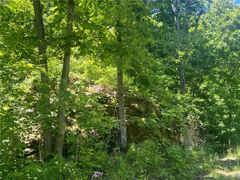 Terrapin Road, Harrison, AR 72601 photo 4