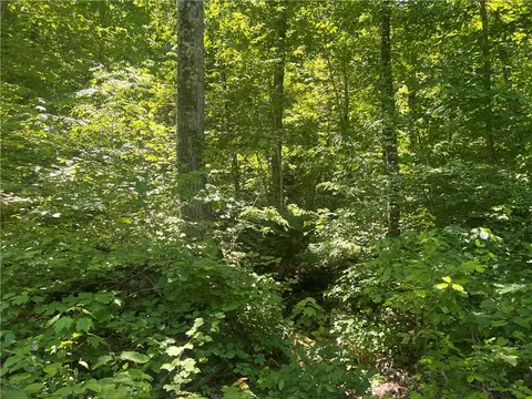 Terrapin Road, Harrison, AR 72601 photo 5
