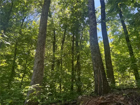 Terrapin Road, Harrison, AR 72601 photo 2