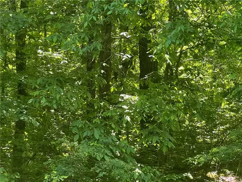 Terrapin Road, Harrison, AR 72601 photo 5