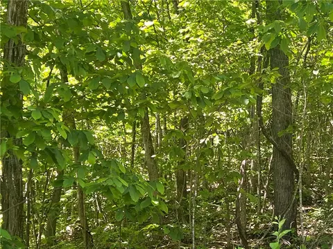 Terrapin Road, Harrison, AR 72601 photo 3