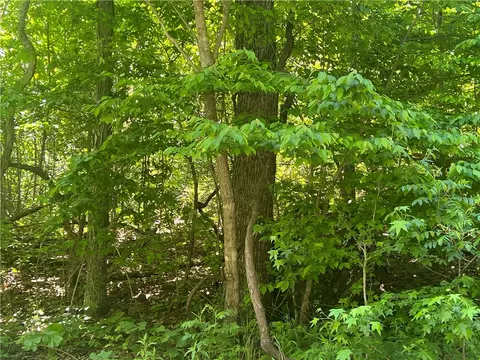 Terrapin Road, Harrison, AR 72601 photo 4