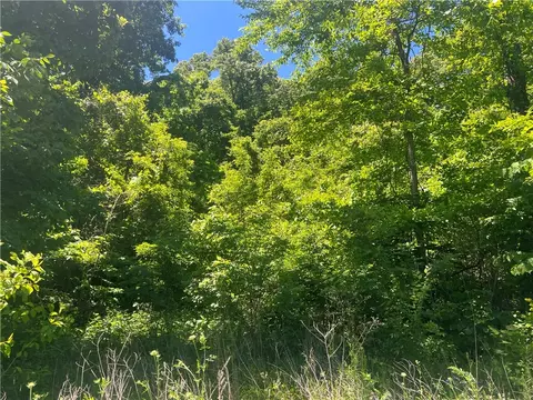Terrapin Road, Harrison, AR 72601