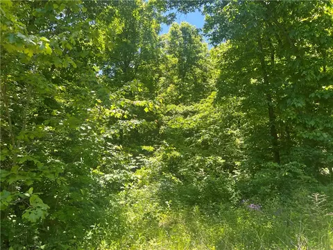 Terrapin Road, Harrison, AR 72601 photo 6