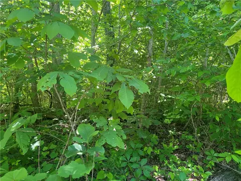 Terrapin Road, Harrison, AR 72601 photo 2