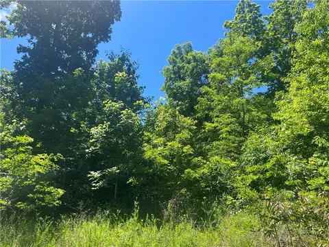 Terrapin Road, Harrison, AR 72601