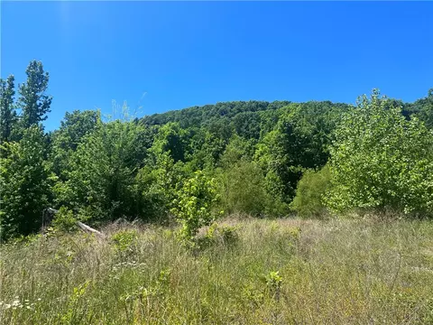 Terrapin Road, Harrison, AR 72601
