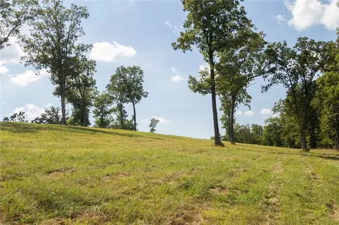 000 Downwind Dr, Omaha, AR 72662 photo 5