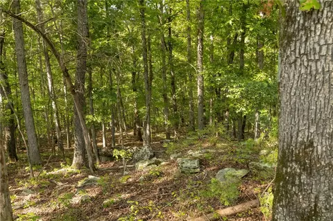 000 Downwind Dr, Omaha, AR 72662 photo 6
