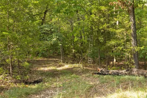 000 Downwind Dr, Omaha, AR 72662 photo 4