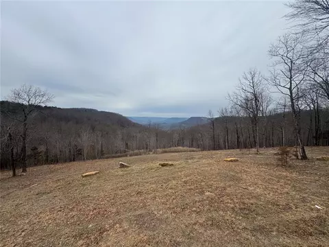Exterior - 122 Nc 8735, Jasper, AR 72641 photo 9 of 15