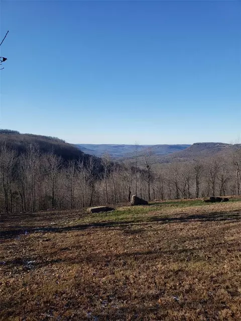 View/Area - 122 Nc 8735, Jasper, AR 72641 photo 1 of 3