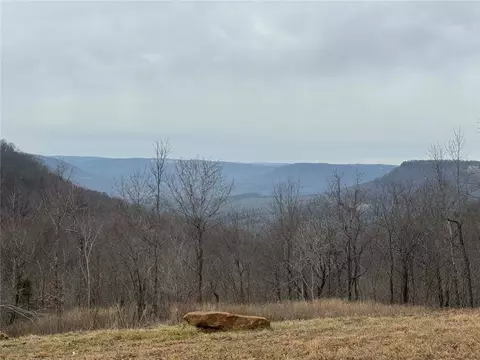 View/Area - 122 Nc 8735, Jasper, AR 72641 photo 2 of 3