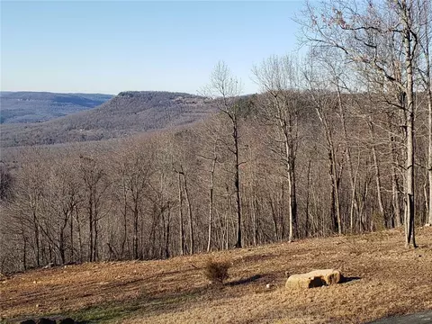 Exterior - 122 Nc 8735, Jasper, AR 72641 photo 7 of 15