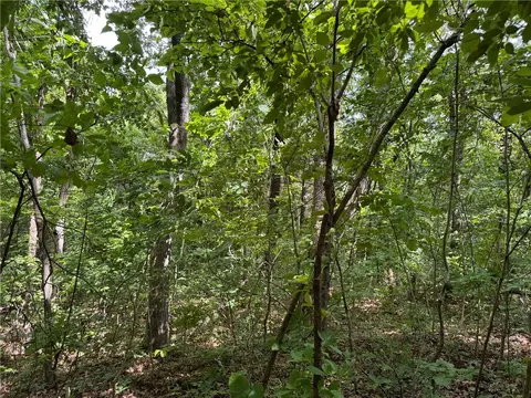 tbd Nc 1000, Ponca, AR 72670 photo 11