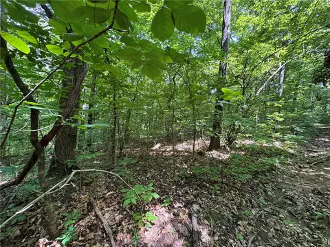 tbd Nc 1000, Ponca, AR 72670 photo 3