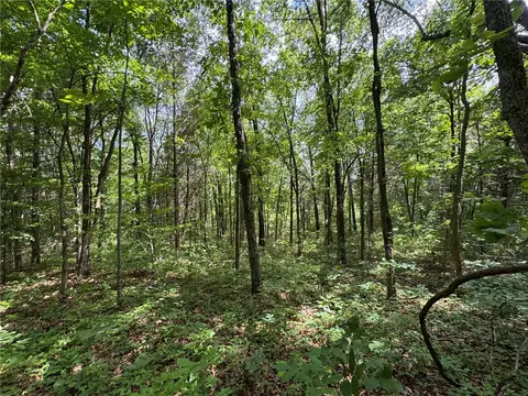 tbd Nc 1000, Ponca, AR 72670 photo 8