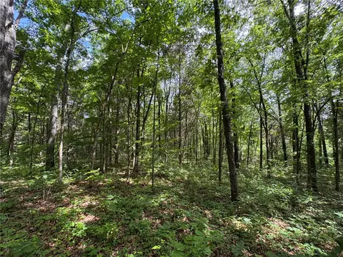 tbd Nc 1000, Ponca, AR 72670 photo 9
