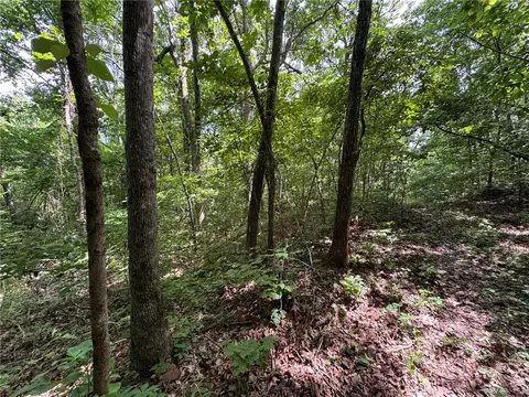 tbd Nc 1000, Ponca, AR 72670 photo 7