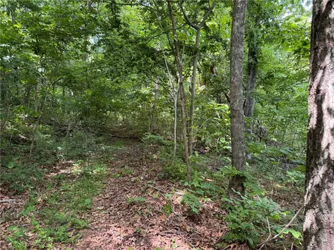 tbd Nc 1000, Ponca, AR 72670 photo 13