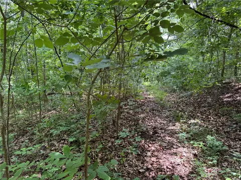 tbd Nc 1000, Ponca, AR 72670 photo 12