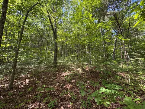tbd Nc 1000, Ponca, AR 72670 photo 10
