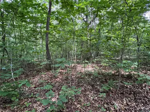 tbd Nc 1000, Ponca, AR 72670 photo 5