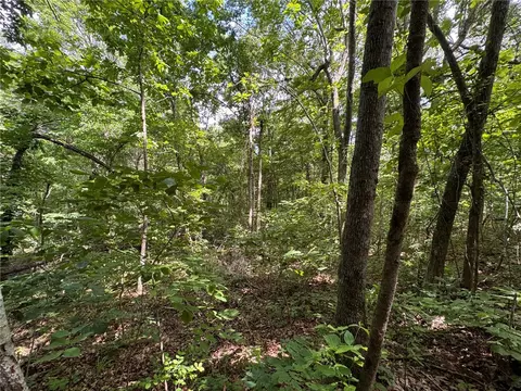 tbd Nc 1000, Ponca, AR 72670 photo 6