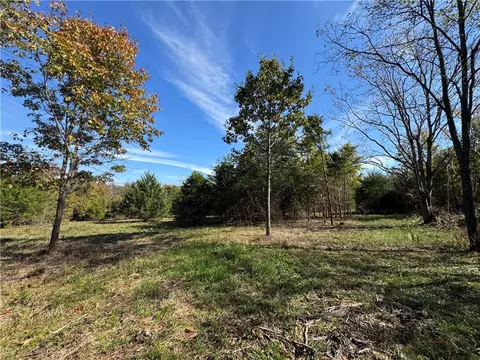 Tract 3a & 2a Downing Road, Elkins, AR 72727