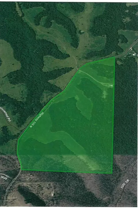 4815 N Hwy 125, Yellville, AR 72687