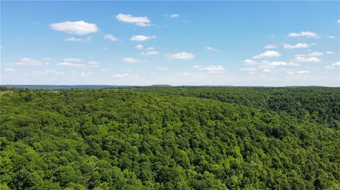 17659 S Skylight Mountain Rd, Canehill, AR 72717