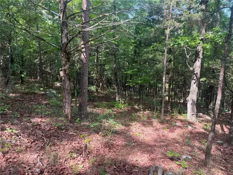 107 Jones Dr, Dover, AR 72837 photo 5