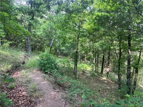 107 Jones Dr, Dover, AR 72837 photo 7