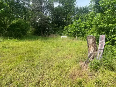 107 Jones Dr, Dover, AR 72837 photo 9