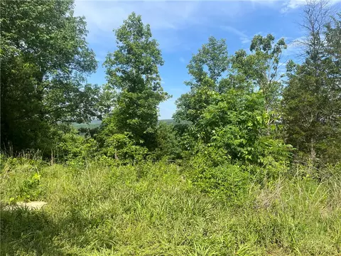 107 Jones Dr, Dover, AR 72837 photo 2
