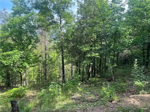 107 Jones Dr, Dover, AR 72837 photo 4